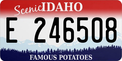 ID license plate E246508