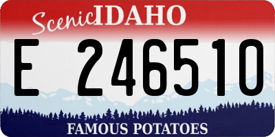 ID license plate E246510