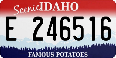 ID license plate E246516