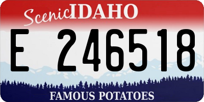 ID license plate E246518