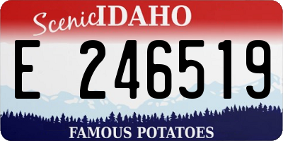 ID license plate E246519