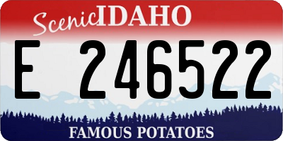 ID license plate E246522
