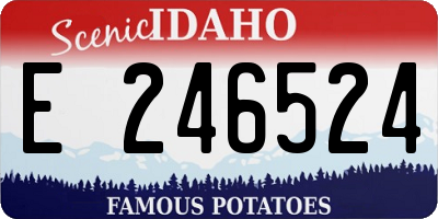 ID license plate E246524
