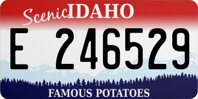 ID license plate E246529