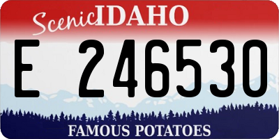ID license plate E246530