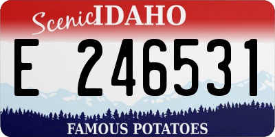ID license plate E246531