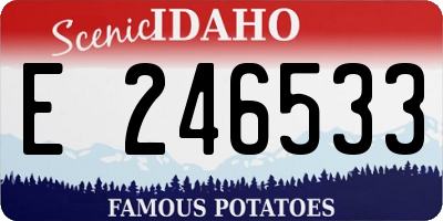 ID license plate E246533
