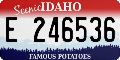 ID license plate E246536