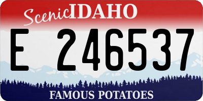 ID license plate E246537