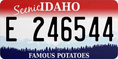 ID license plate E246544