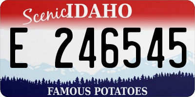 ID license plate E246545