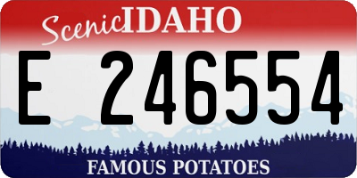 ID license plate E246554
