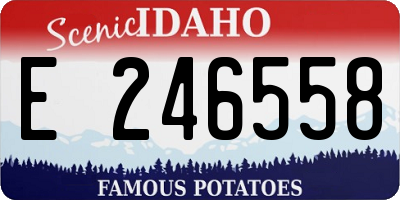 ID license plate E246558