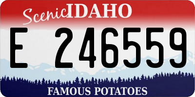 ID license plate E246559
