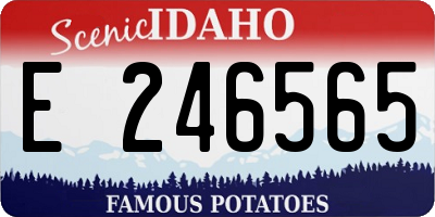 ID license plate E246565