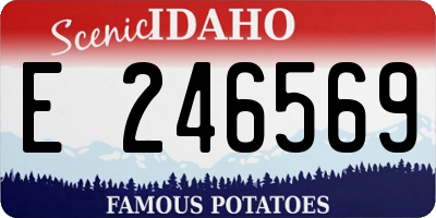 ID license plate E246569