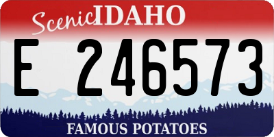 ID license plate E246573