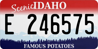 ID license plate E246575