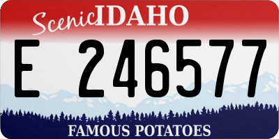 ID license plate E246577