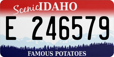 ID license plate E246579