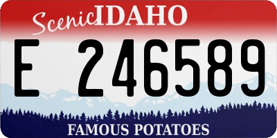 ID license plate E246589