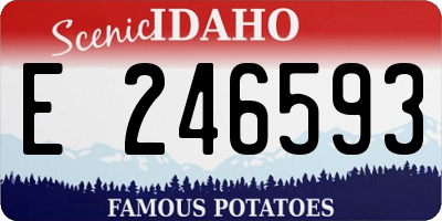 ID license plate E246593
