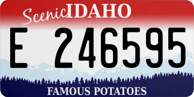ID license plate E246595