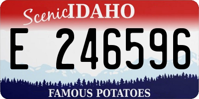 ID license plate E246596