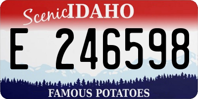 ID license plate E246598