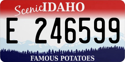 ID license plate E246599