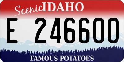 ID license plate E246600