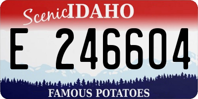 ID license plate E246604