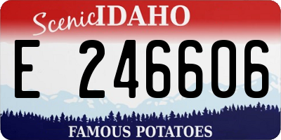 ID license plate E246606