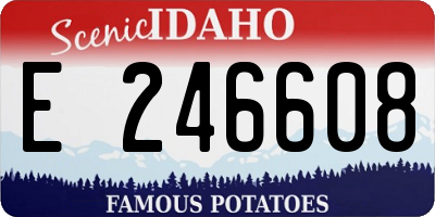 ID license plate E246608
