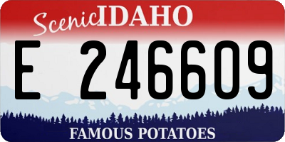ID license plate E246609