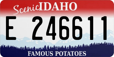 ID license plate E246611