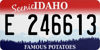 ID license plate E246613