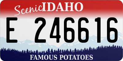 ID license plate E246616