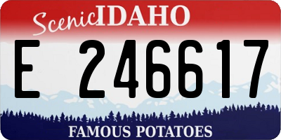 ID license plate E246617