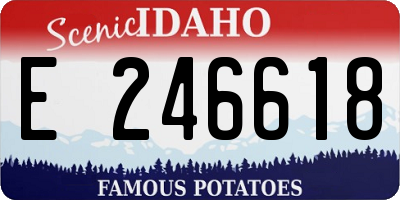ID license plate E246618