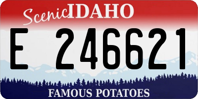 ID license plate E246621