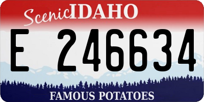 ID license plate E246634