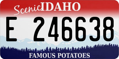 ID license plate E246638