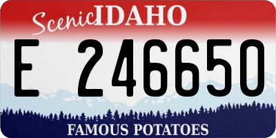 ID license plate E246650