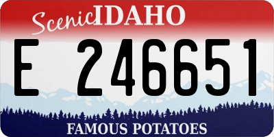 ID license plate E246651