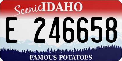 ID license plate E246658