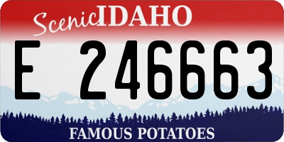 ID license plate E246663