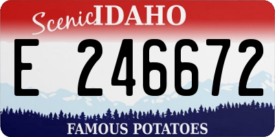 ID license plate E246672