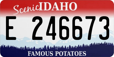 ID license plate E246673