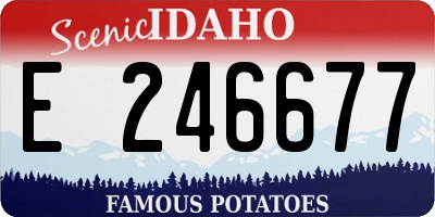 ID license plate E246677